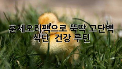 훈제오리팩🦆으로 뚝딱! 고단백 식단 & 건강 루틴 💪
