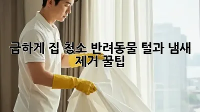 급하게 집 청소, 반려동물 털과 냄새 제거 꿀팁!